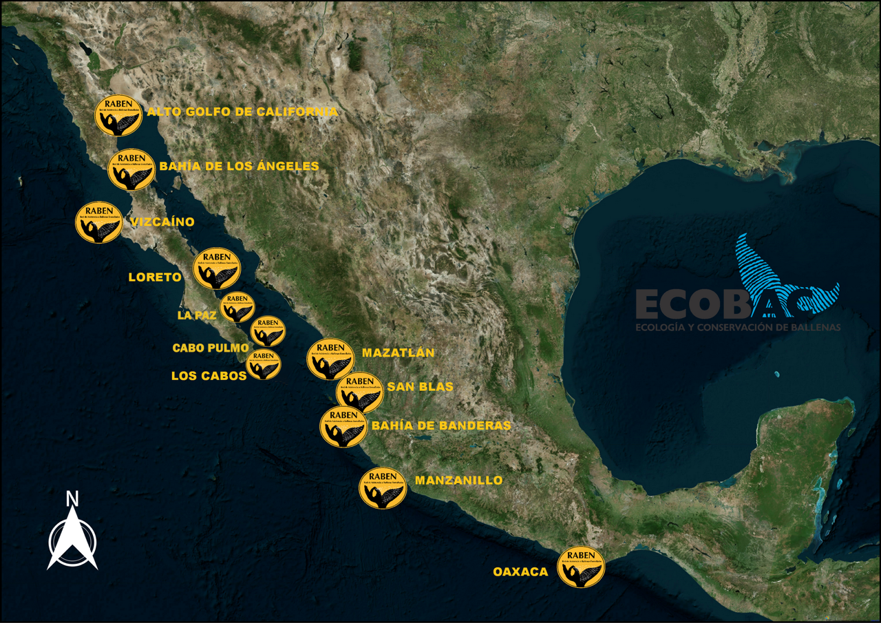 MAPA Equipos RABEN 2026